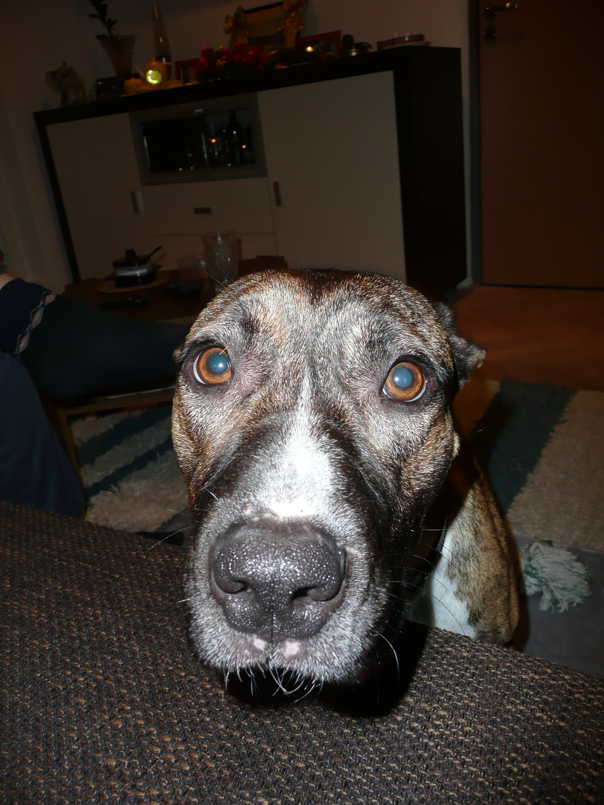 Juddy